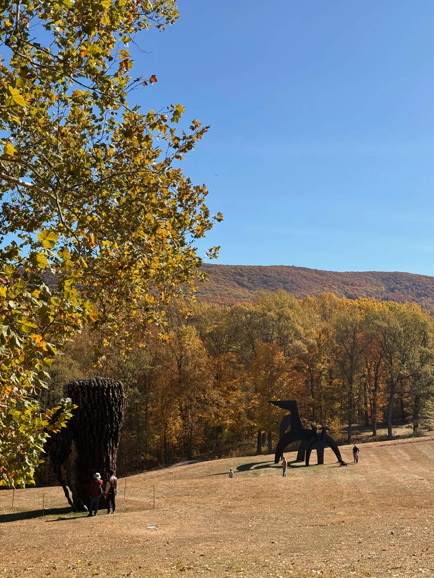 Storm King Art Center